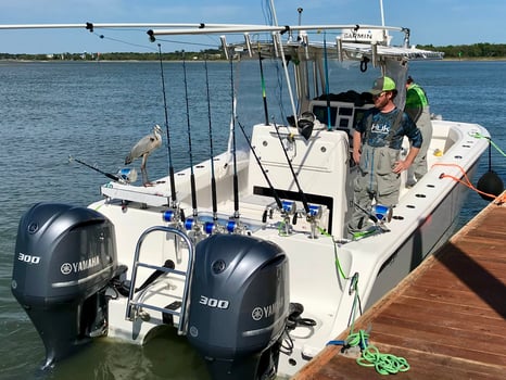 Boat photo for Coastal Ocean / Reef & Wreck Trip