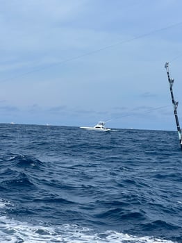 Boat photo for Half Day Nearshore Trip