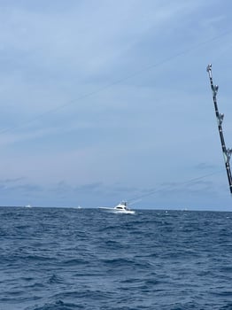 Boat photo for Half Day Nearshore Trip