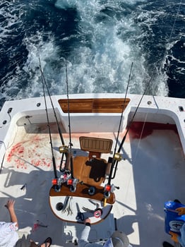 Boat photo for Half Day Nearshore Trip