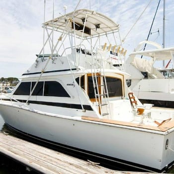 Boat photo for Virginia Inshore Trips