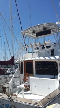 Boat photo for Virginia Inshore Trips