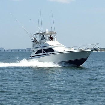 Boat photo for Virginia Inshore Trips