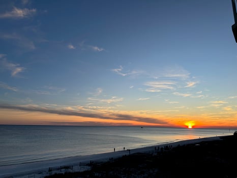 Lodge photo for Sunset Dolphin Cruise