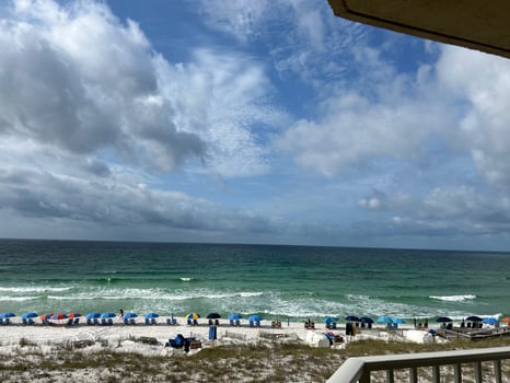 Lodge photo for Sunset Dolphin Cruise