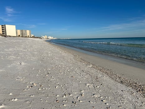 Lodge photo for Sunset Dolphin Cruise