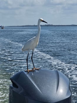 Boat photo for Anna Maria Inshore Adventures