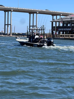 Boat photo for Half Day Live Bait Trip 