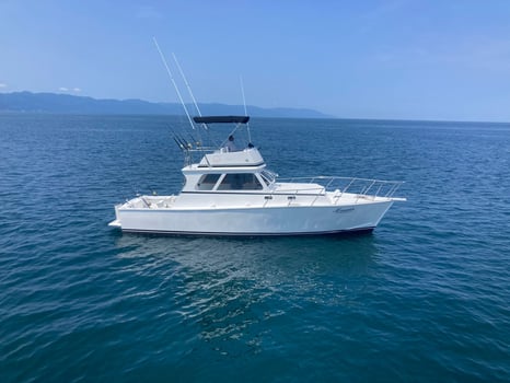 Boat photo for 38 Sportfisher La Cruz 5-6 Hrs 