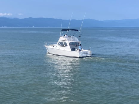 Boat photo for 38 Sportfisher La Cruz 5-6 Hrs 