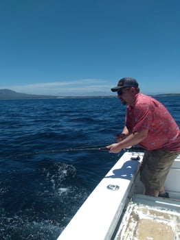 Boat photo for 38 Sportfisher La Cruz 5-6 Hrs 