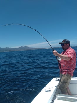 Boat photo for 38 Sportfisher La Cruz 5-6 Hrs 