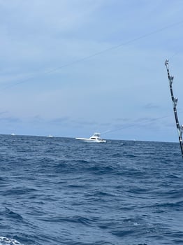 Boat photo for 3/4 Day Offshore 