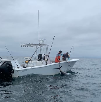 Boat photo for Black Seabass And Scup 