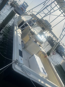 Boat photo for Family Fun Day Fishing / Island 37'