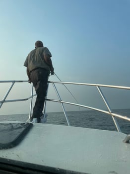 Boat photo for Shark Fishing