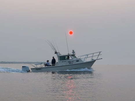 Boat photo for Shark Fishing
