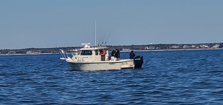 Boat photo for Black Sea Bass