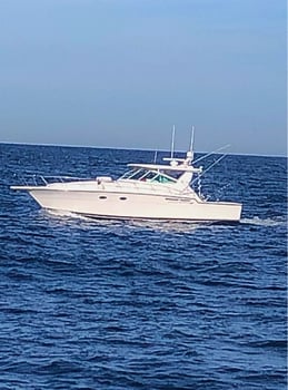 Boat photo for Long Island Full Day Offshore