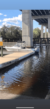 Boat photo for 5 Hour Shark Trip
