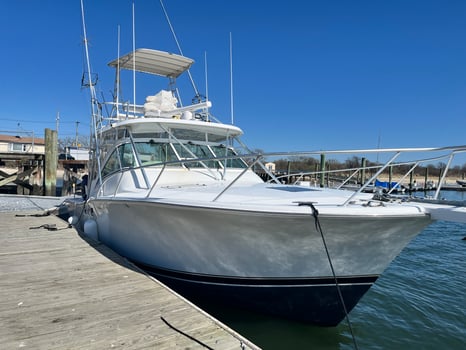 Boat photo for Bass And Blues