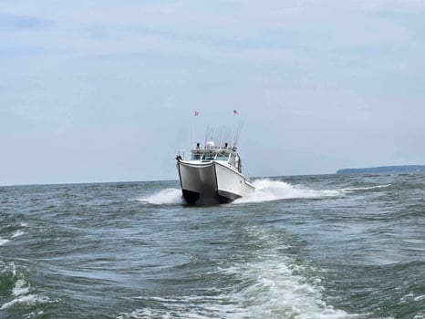Boat photo for Morning Wallaye Or Perch Charter