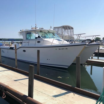 Boat photo for Morning Wallaye Or Perch Charter