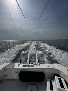Boat photo for Long Island Inshore Trip