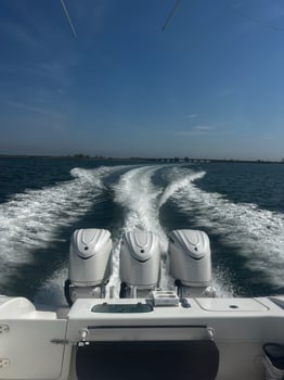 Boat photo for Long Island Inshore Trip