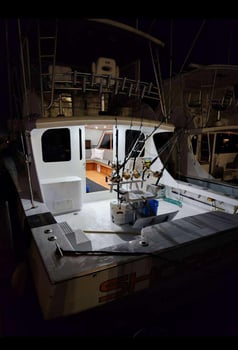 Boat photo for Day Charter (12hr Offshore)