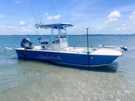 Boat photo for Eco Tours, Pleasure & Sunset Cruise