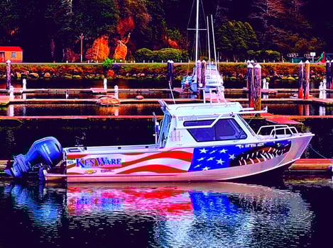 Boat photo for Salmon And Rock Fish Combo