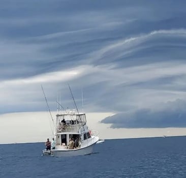 Boat photo for Half/Full Day Trip – Striped Bass