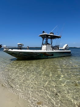 Boat photo for Tarpon Fishing