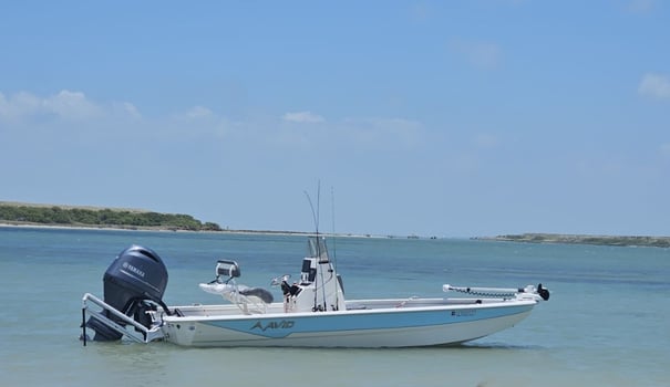 Boat photo for Port A Inshore 5 Hr Trip