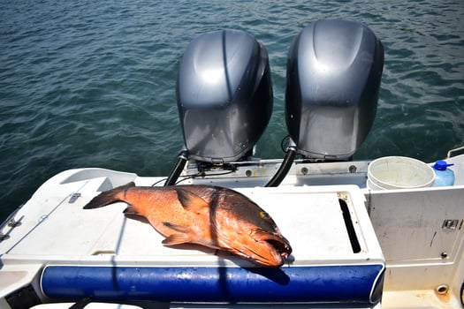 Boat photo for Catch And Cook In Costa Rica