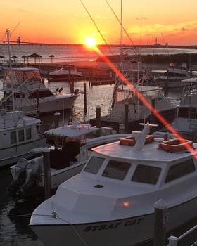 Boat photo for Captains Choice 