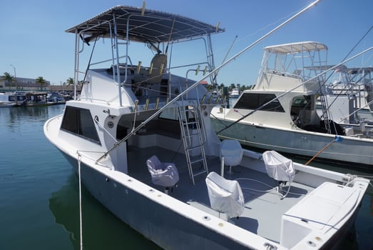 Boat photo for 4-6 Hour Reef