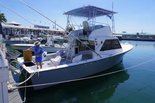 Boat photo for 6 Hour Shark Trip