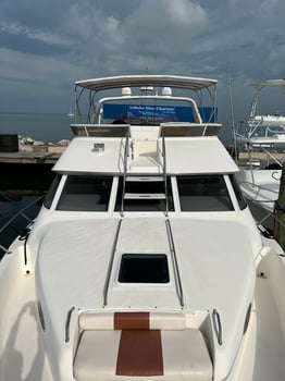 Boat photo for Yellowtail Fishing Trip