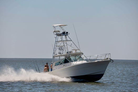 Boat photo for Trolling/ Island Fishing