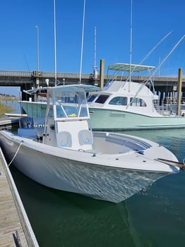 Boat photo for Boat Cruises