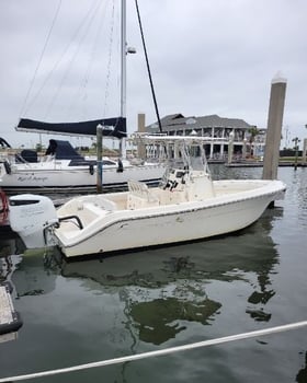 Boat photo for Bay Area Bird / Wildlife Observing 
