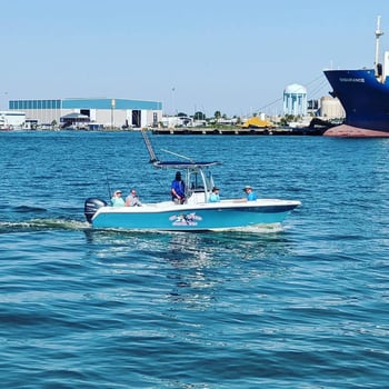 Boat photo for Bay Area Bird / Wildlife Observing 