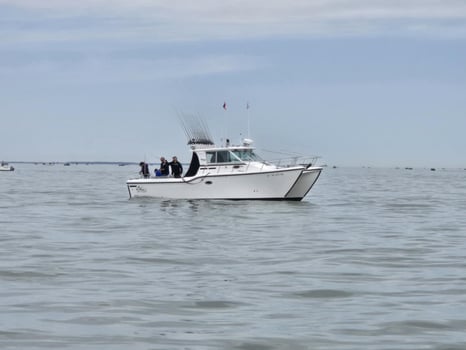 Boat photo for Morning Walleye Or Perch 4 Persons 