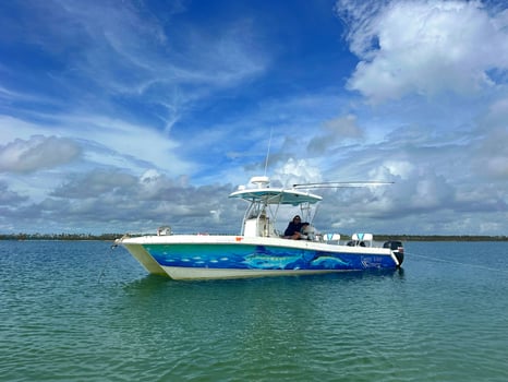 Boat photo for Dolphin And Snorkeling Tours