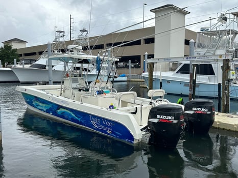 Boat photo for Dolphin And Snorkeling Tours