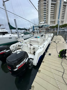 Boat photo for Dolphin And Snorkeling Tours