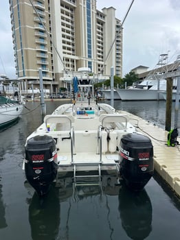 Boat photo for Dolphin And Snorkeling Tours
