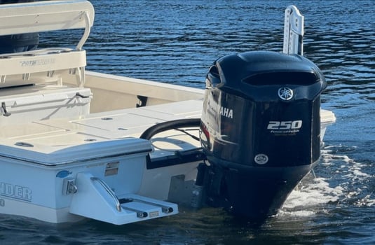 Boat photo for Sandbar Chillin'